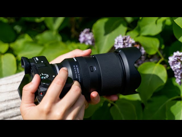 Tamron 16-300mm f/3.5-6.3 Di II VC PZD Macro review - YouTube