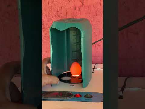 31 de março de 2026