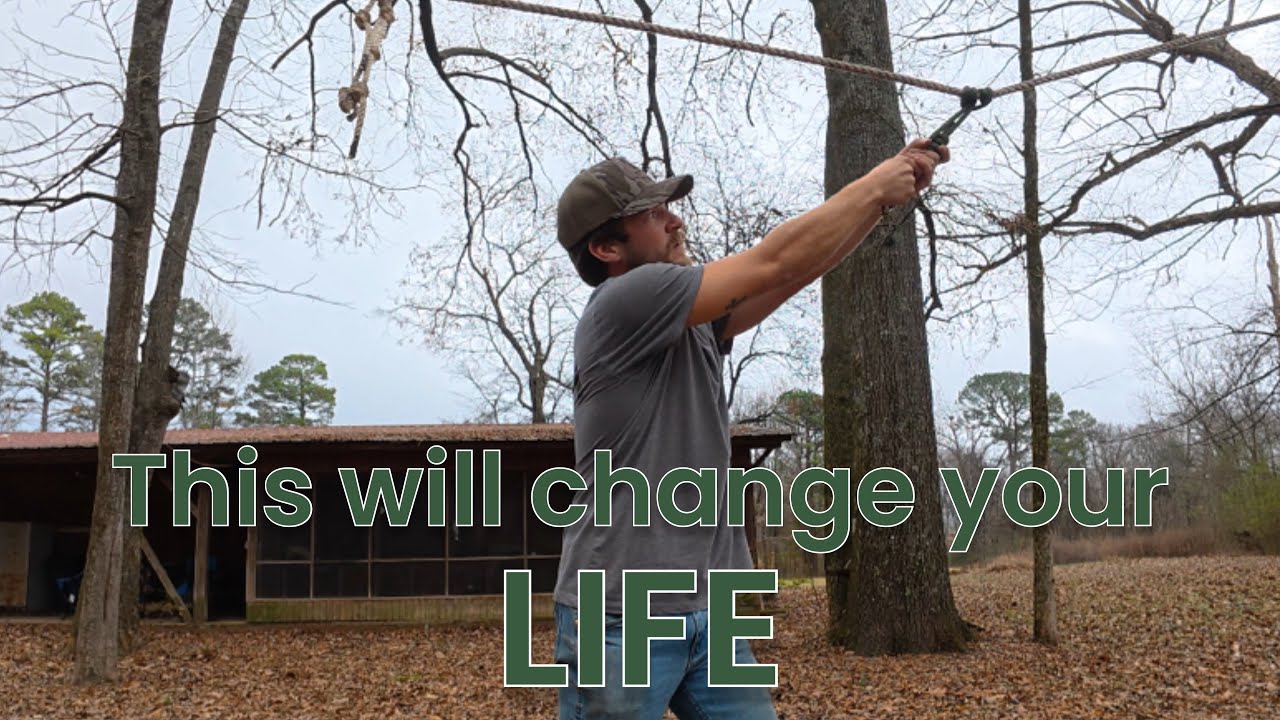 How to tie a horse or mule to a HIGHLINE-PRUSSIC SWIVEL