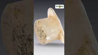 #México | 🦅 ¡#Descubre los fascinantes #bezotes de la #cultura #mixteca!