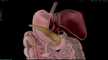 VB Suite Accessibility Mode: Select 3D Models and Structures
