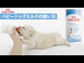 【ロイヤルカナン】ベビードッグミルクの使い方