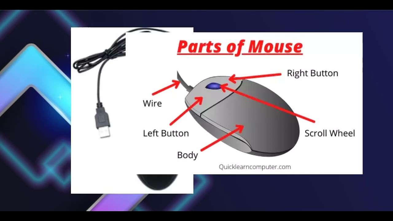 Parts And Functions Of Computer Mouse Tutorial YouTube Parts And Functions Of Computer Mouse Tutorial YouTube