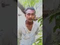 16 ତାରିକ ମଙ୍ଗଳବାର ଦିନ କେ ସରାଗୁଡ଼ା  ଯାତ୍ରା ଏସିଆଚେ New koraputia comedy status video #shorts