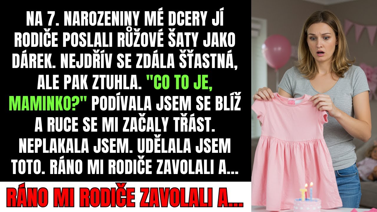 Ten den měla Anička sedmé narozeniny, ale když rozbalila ten růžový balíček od prarodičů, najednou ztuhla a ze šatů vypadla obálka s razítkem finančního úřadu. Zrovna když jsem ji chtěla uklidnit,...