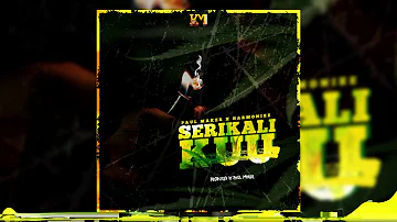 Paul Maker x Harmonize - Serikali Kuu (Official Audio)