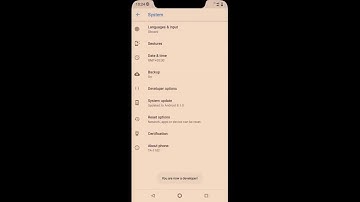 How to hide notch in Nokia 5.1 plus