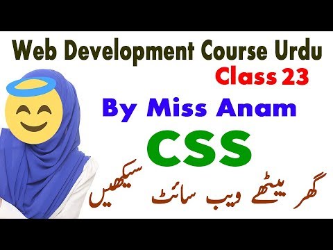Html CSS Box Model - How To Make Box Model In Html CSS Urdu-Hindi