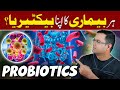 Best Probiotics for Gut Health, Gas &amp; IBS – Urdu Guide