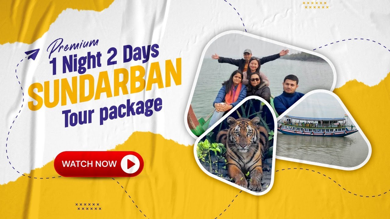 Premium 1 Night 2 Days Sundarban Tour package | 9830549149 | 9733231340 |Banalata Tours & Travels