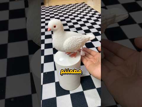 با این گجت ها حموم رفتن لذت بخش میشه