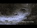 Hurric_lane_came_in_the_Hall_of_Flame (released) - c_lane.29 w hurric_lane
