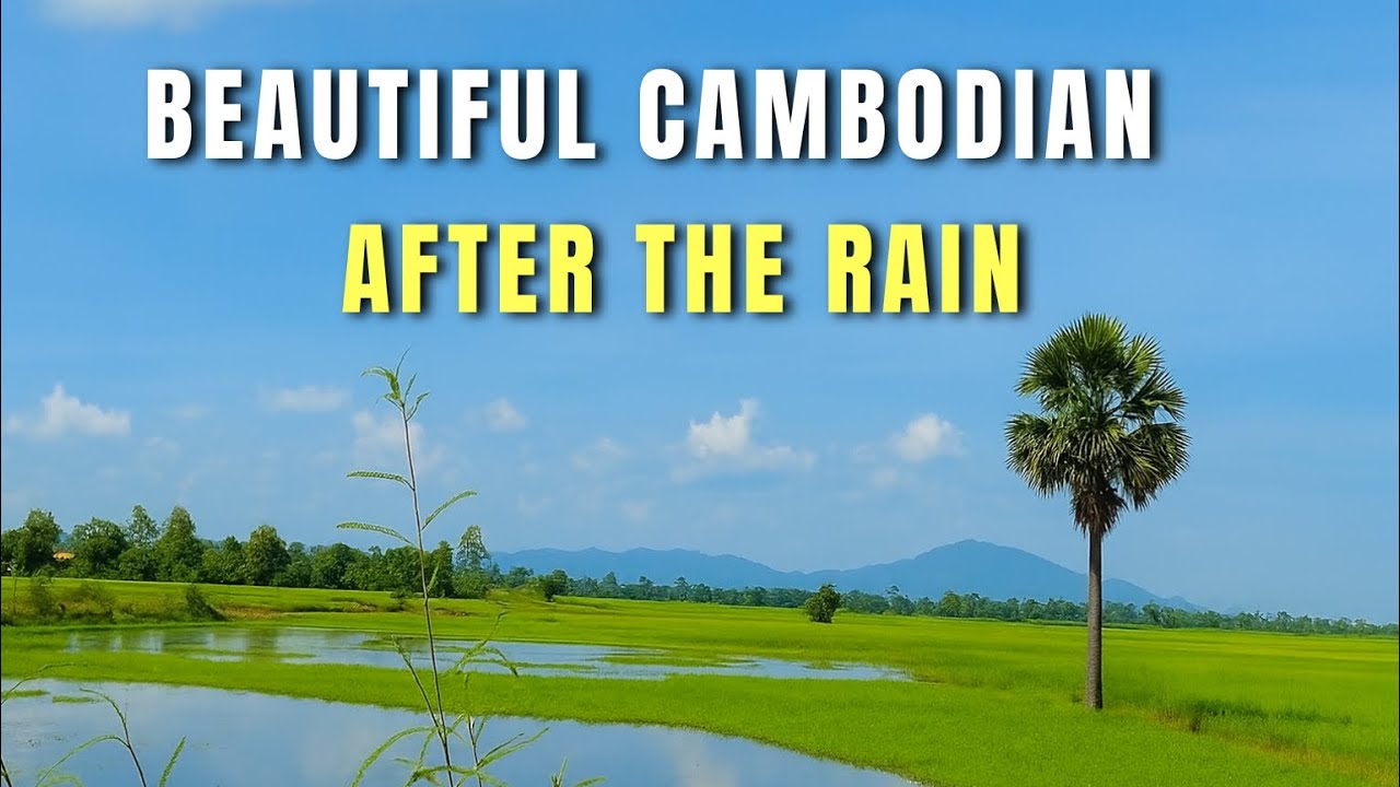 Beautiful Cambodian Countryside After the Rain 🌤️