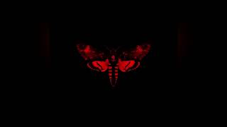[LYRICS/VIETSUB-CC] Lil Wayne - Love Me (ft. Drake, Future)
