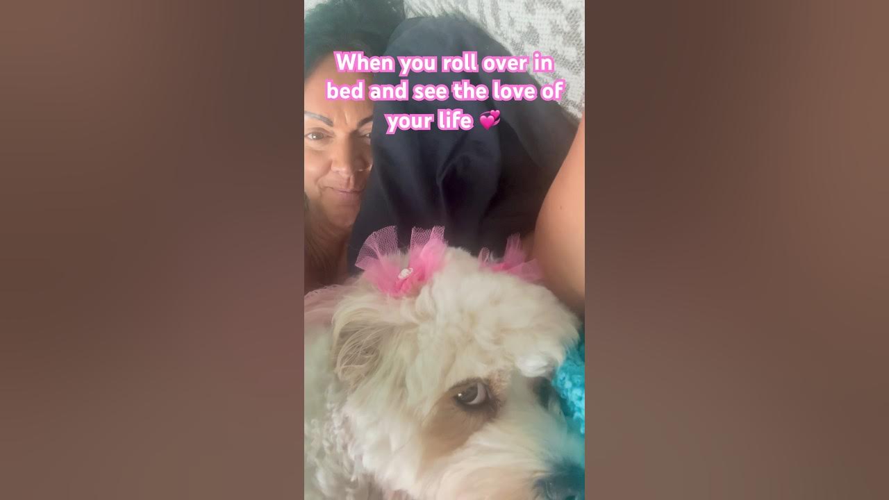 When i roll over in bed and see the love of my life abigailpinkears 