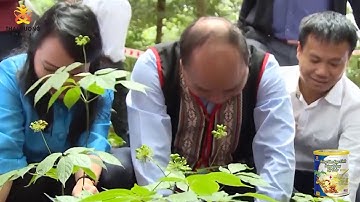 Nhà máy sản xuất sữa Hồng Sâm Ngọc Linh Đông Trùng Hạ Thảo