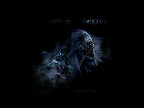 Binary Desecration -  Web Of Blackened Souls