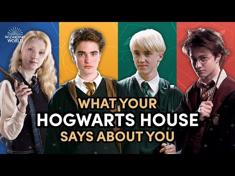 Videó: Menedékcsatornák Harry Potter kutyák rendezésére a személyiség alapján, nem pedig fajta