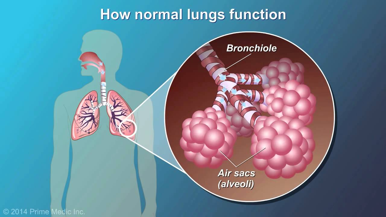 What is the link between COPD and shortness of breath?