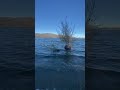 California, Big Bear lake