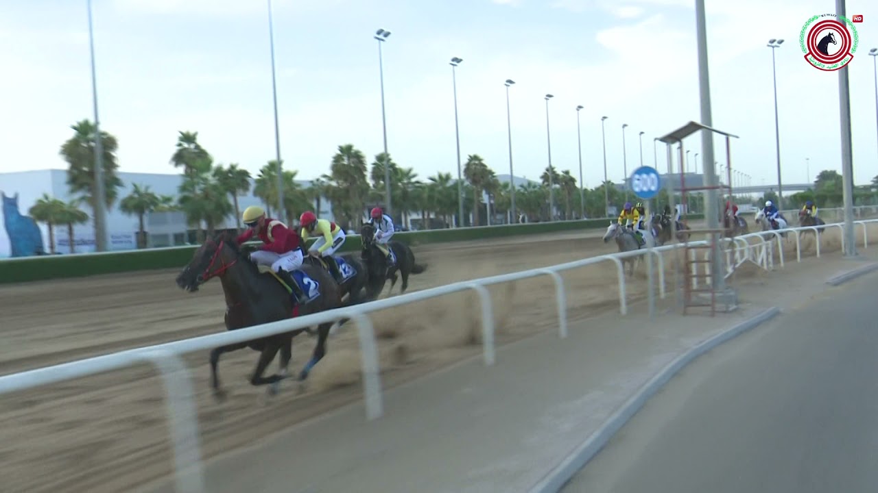 الاجتماع (2) الشوط (4)الجواد/ بدر سات/الاسطبل/ابناء عواض الخضر