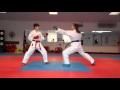 Wkf karate kumite rules for referees and competitors