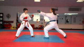 WKF Karate Kumite Rules for Referees and Competitors