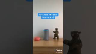 Alexa And Google Meet A Bear