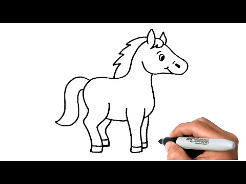 How to Draw a HORSE EASY Step by Step