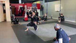 Silat Martial Arts Academy  Satria Fighting Arts: Flow