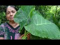 Healthy Foods / Cooking Green Taro Leaves in my Village by my Mom / Village Life