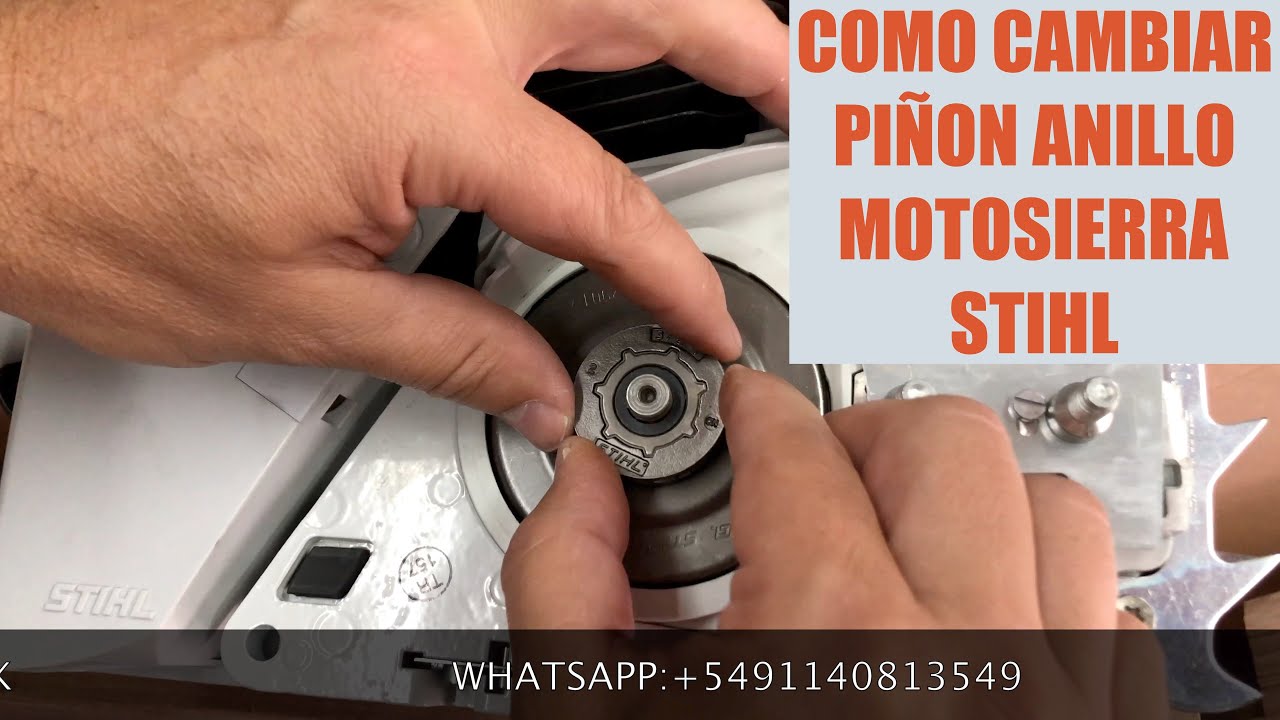 Anillo cadenas rueda dentada anillo piñón adecuado Stihl ms241 261 3/8 7z motor Sierra nuevo 
