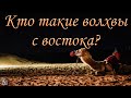 "Кто такие волхвы с востока?"Ефремов Илья. МСЦ ЕХБ