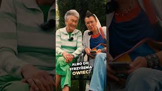 Czy psa można ogolić na lato?