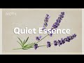 Quiet Essence | Chill House for a Positive Morning Vibe