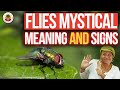 FLIES Spiritual Meanings And What You Need To Know Yeyeo Botanica FLIES Spiritual Meanings And What You Need To Know Yeyeo Botanica