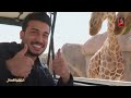 جولة مع أخطر حيوانات العالم في حديقة العين سفاري 