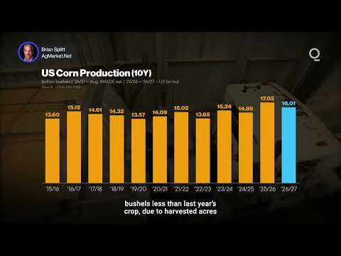 Could El Niño Spark a Global Grain Supply Crunch? | Presented by CME Group