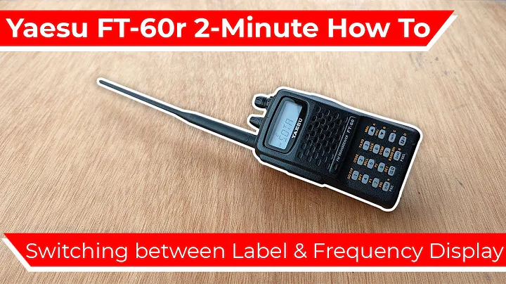 How to Switch Between Memory Labels or Frequency Display | Yaesu Ft-60r How To