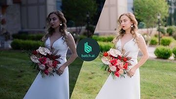 Transform Your Editing: Batch.AI Review - Adobe Lightroom