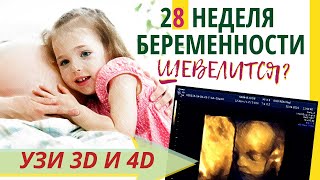 28 неделя беременности. Развитие плода. УЗИ 3D и 4D. Что чувствует беременная. Как выглядит ребенок