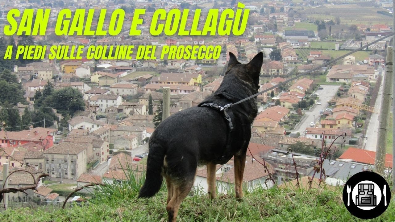 San Gallo e Collagù - Treviso e dintorni