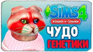 ЧУДО ГЕНЕТИКИ, ЕНОТИКИ - The Sims 4 \