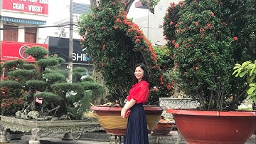 Hội Chợ Triển Lãm Sinh Vật Cảnh Bắc Giang Năm 2022 lớn tới mức nào?