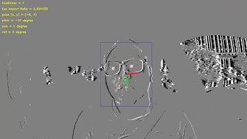 Driver Status Monitor (DMS) by Event-based Sensor / Dynamic Sensor