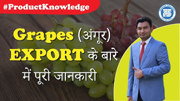Grapes (अंगूर) EXPORT के बारे में पूरी जानकारी | Grapes Product | Paresh Solanki