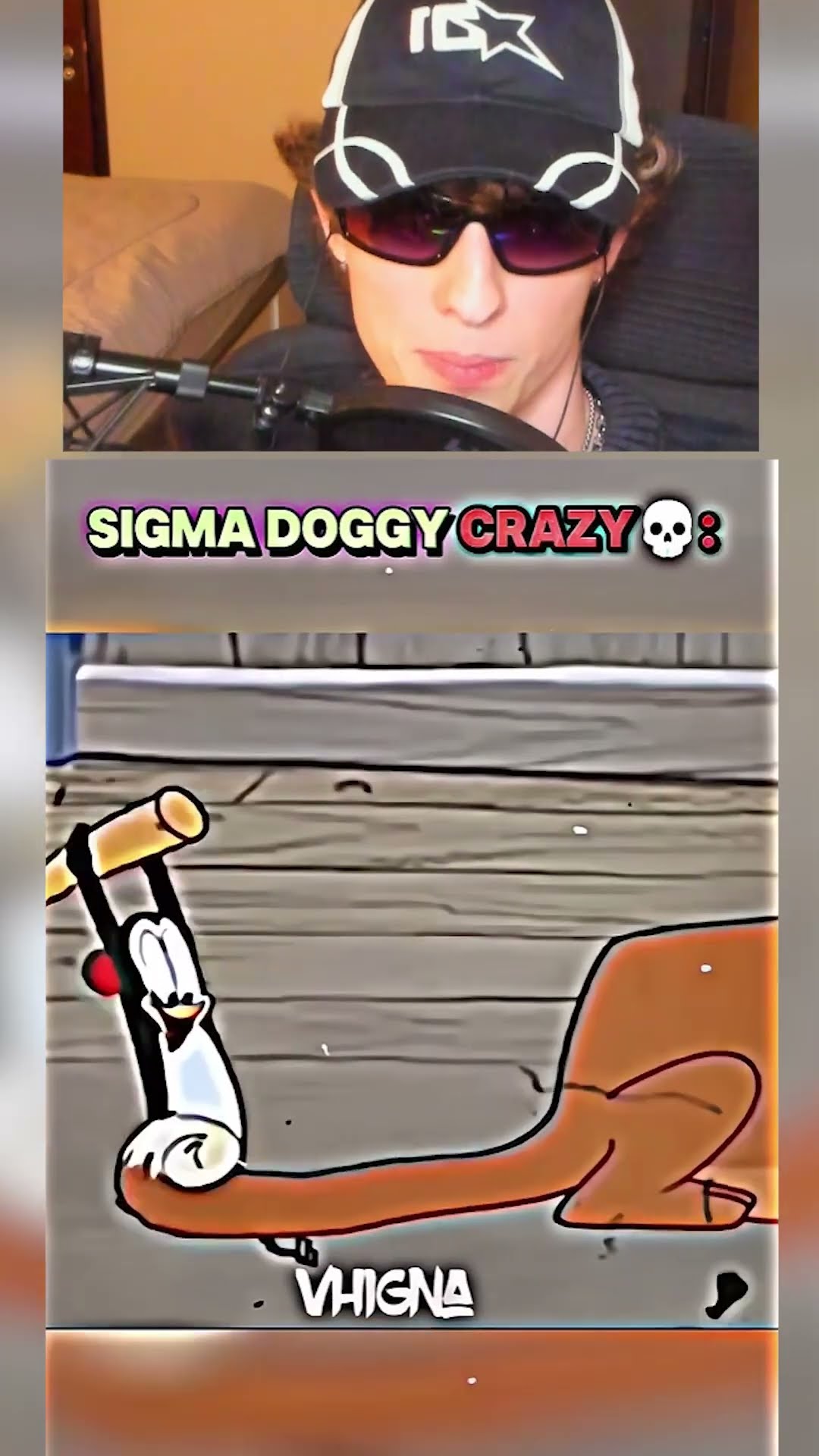 El PERRO SIGMA?