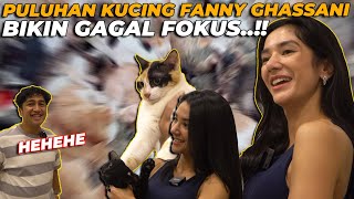 PULUHAN KUCING RESCUE FANNY GHASSANI BIKIN GAGAL FOKUS (KUCINGNYA)