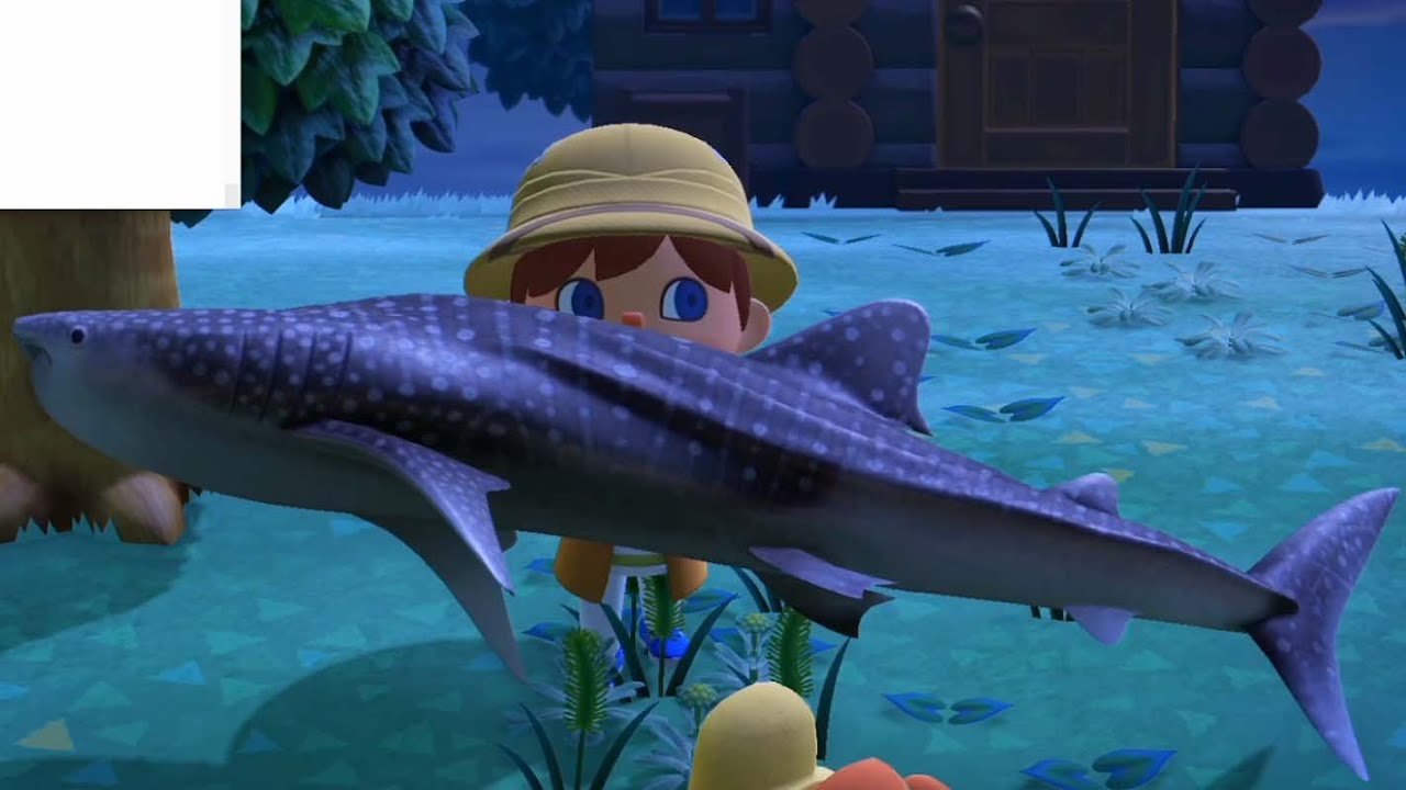 生者のどうぶつの森-１日目（ジンベエザメ編）-【概要欄必読】