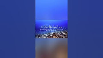 فقلت استغفروا ربكم انه كان غفارا (سوره نوح:الآية١٠) قران كريم تلاوه عطرة للقارئ الشيخ عبد الله خلف🎧😍